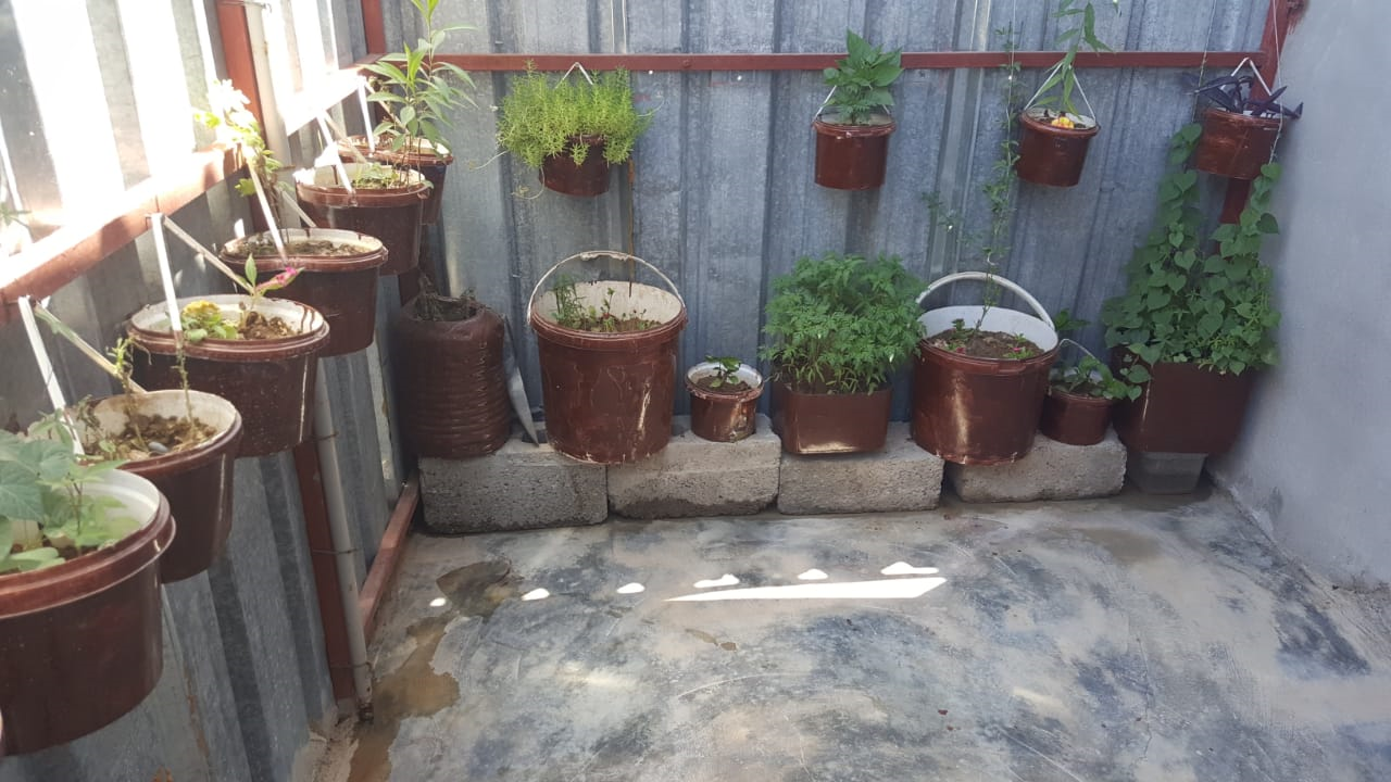 Planting Seeds in Refugee Camps