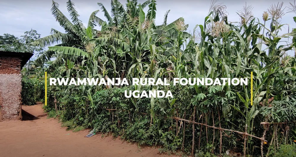 An update from Rwamwanja Rural Foundation
