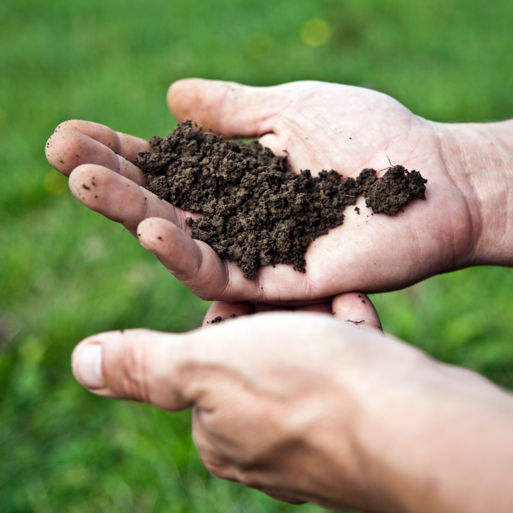 Monitoring, Evaluation & Learning – What’s a Regenerative approach?