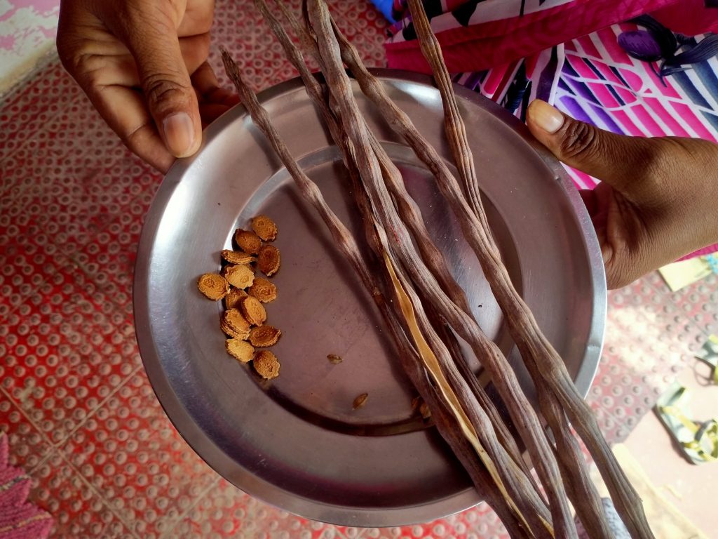 From Seeds of Suicide to Seeds of Hope