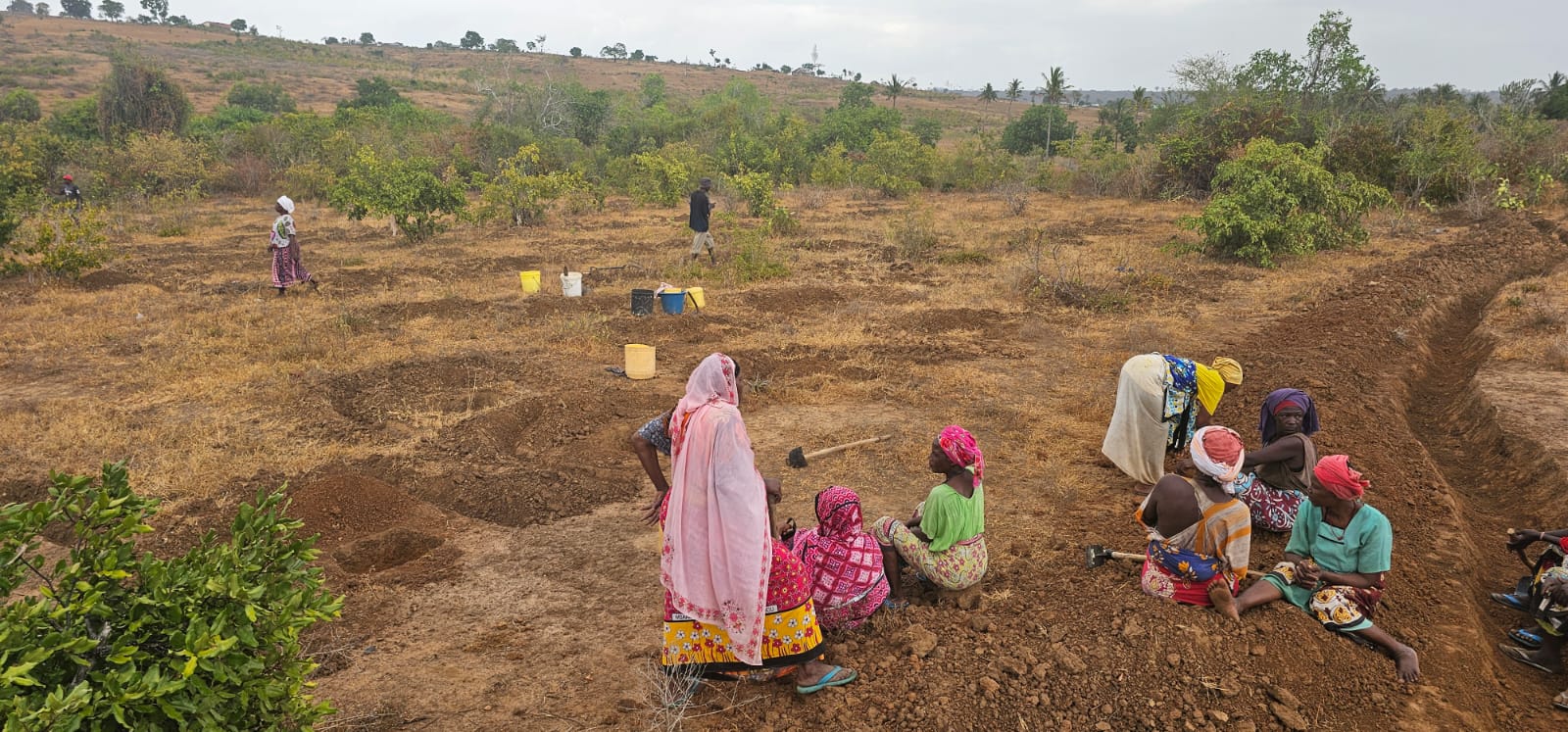 The Mijikenda and the Sacred Kaya Forests
